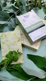 Standard Soap - Eucalyptamint - Evolve Botanica Co